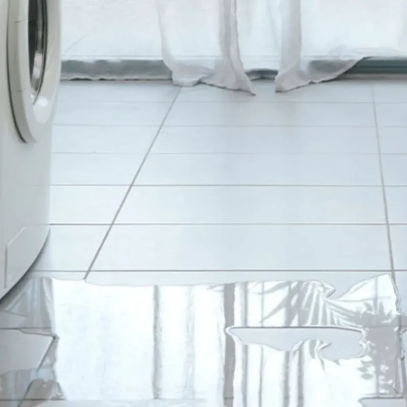 Appliance Leak Cleanup in Pulaski County, GA