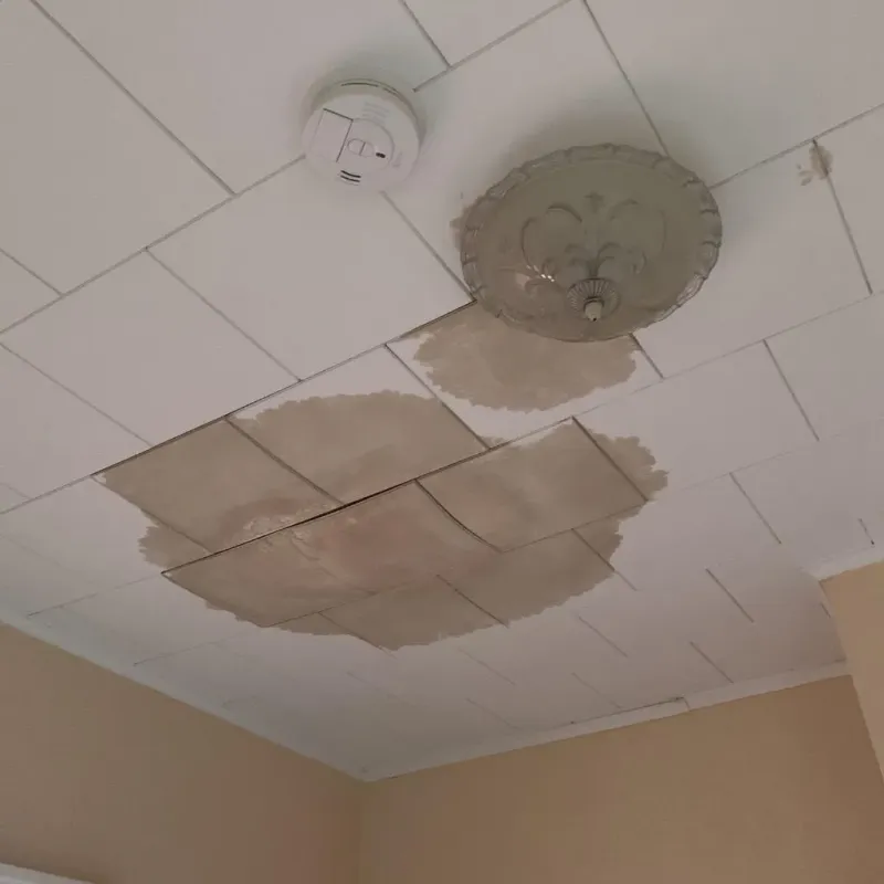 Ceiling Water Damage Repair in Pulaski County, GA