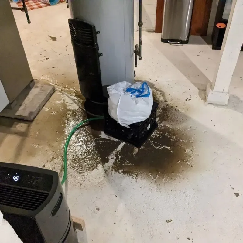 Sewage Backup Cleanup Service in Pulaski County, GA